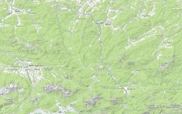 Waldkarte: Kartenausschnitt aus der Grundblick-Karte für Österreich